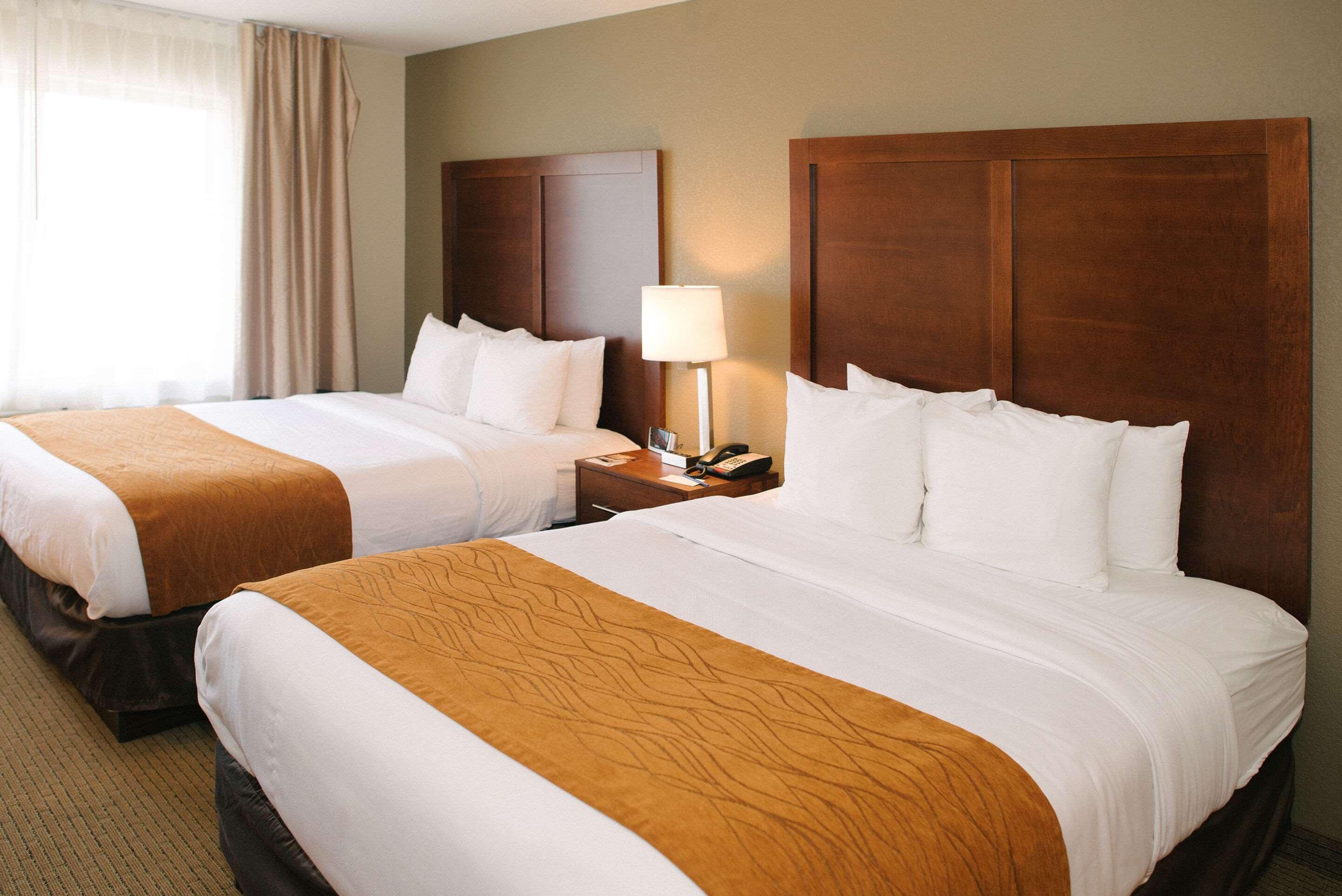 Comfort Inn & Suites Custer Luaran gambar