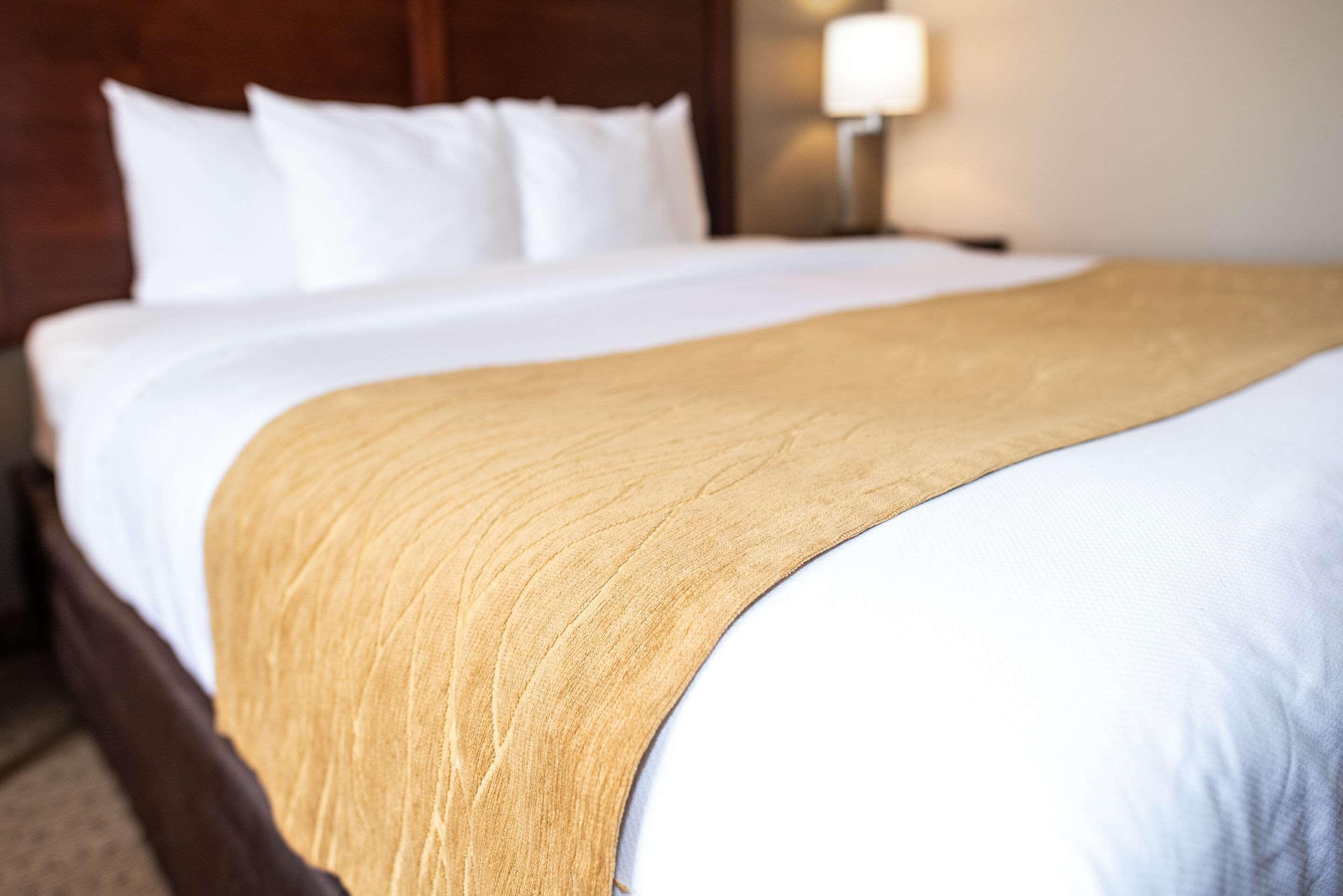 Comfort Inn & Suites Custer Luaran gambar